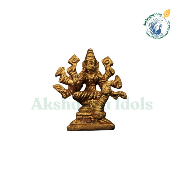 Brass Goddess Varahi Idol – Divine Protector and Bestower of Strength